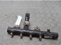 Рампа (рейка) топливная Renault Scenic 2012-2016 20658133 #1