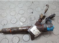 Форсунка топливная LDV (DAF) Maxus 2004-2008 20658165 #1