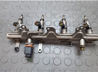 06H906036P, 06J133317M Форсунка топливная Audi A5 (8T) 2007-2016 20658169 #1