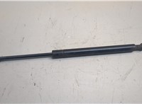 5155055AB Амортизатор крышки багажника Dodge Avenger 2007-2014 20658257 #1