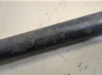 5155055AB Амортизатор крышки багажника Dodge Avenger 2007-2014 20658257 #3