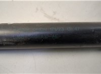 LJ6BS406A10AE Амортизатор крышки багажника Ford Escape 2023-2025 20658291 #2