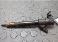 0445110298 Форсунка топливная Volvo V50 2004-2012 20658438 #1