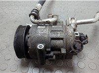  Компрессор кондиционера Skoda Roomster 2006-2015 20658439 #1