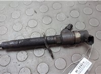0445110298 Форсунка топливная Volvo V50 2004-2012 20658443 #1