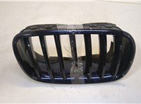 7171396 Решетка радиатора BMW X5 E70 2006-2013 20658725 #3