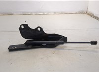Петля капота Audi A6 (C7) 2011-2018 20659081 #3