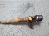 166009445R, 166001225R Форсунка топливная Renault Laguna 3 2007-2025 20659144 #1