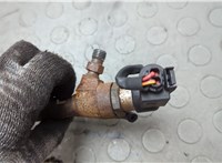 166009445R, 166001225R Форсунка топливная Renault Laguna 3 2007-2025 20659144 #2