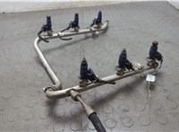 5101526AA, 5098910AA Форсунка топливная Chrysler Crossfire 2003-2008 20659601 #1