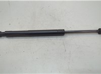 PM3052PR, 654707S600, 654717S600 Амортизатор капота Infiniti QX56 2004-2010 20659652 #1