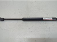 PM3052PR, 654707S600, 654717S600 Амортизатор капота Infiniti QX56 2004-2010 20659652 #2