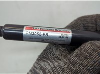 PM3052PR, 654707S600, 654717S600 Амортизатор капота Infiniti QX56 2004-2010 20659652 #3