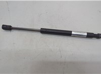 PM3052PR, 654707S600, 654717S600 Амортизатор капота Infiniti QX56 2004-2010 20659658 #1