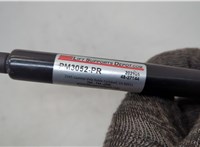 PM3052PR, 654707S600, 654717S600 Амортизатор капота Infiniti QX56 2004-2010 20659658 #2