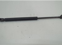 65471CG80A Амортизатор капота Infiniti FX 2002-2009 20659685 #1