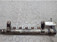 Рампа (рейка) топливная Land Rover Freelander 2 2006-2014 20659688 #1
