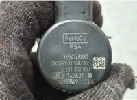 Рампа (рейка) топливная Land Rover Freelander 2 2006-2014 20659688 #3