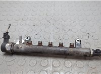 Рампа (рейка) топливная Land Rover Freelander 2 2006-2014 20659688 #4