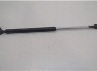 90452CL00A Амортизатор крышки багажника Infiniti FX 2002-2009 20659709 #2