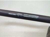 90452CL00A Амортизатор крышки багажника Infiniti FX 2002-2009 20659715 #3