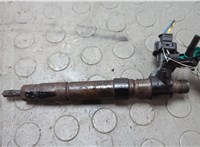 LR001325 Форсунка топливная Land Rover Freelander 2 2006-2014 20659716 #1