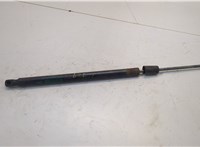  Амортизатор крышки багажника Ford Escape 2007-2012 20659778 #1