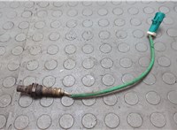 Лямбда зонд Ford Focus 1 1998-2004 20659974 #1