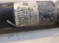 LB5Z18125U Амортизатор подвески Ford Explorer 2019-2025 20660188 #2