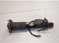 37126794544 Амортизатор подвески BMW X5 E70 2006-2013 20660190 #1