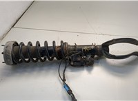 37116794532 Амортизатор подвески BMW X5 E70 2006-2013 20660285 #1