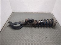 37116794532 Амортизатор подвески BMW X5 E70 2006-2013 20660285 #6