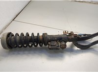 37116794531 Амортизатор подвески BMW X5 E70 2006-2013 20660302 #1