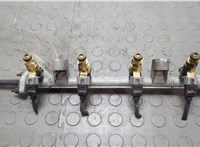  Форсунка топливная Hyundai Tucson 1 2004-2010 20660390 #1