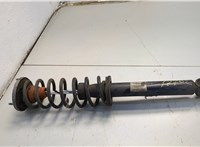 33526784019 Амортизатор подвески BMW 5 F10 2010-2017 20660468 #1