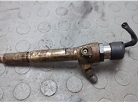 Форсунка топливная Nissan Qashqai 2006-2013 20660515 #1