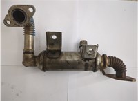  Охладитель отработанных газов Ford S-Max 2006-2010 20660534 #1