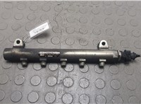 96440398 Рампа (рейка) топливная Chevrolet Captiva 2006-2011 20660586 #1