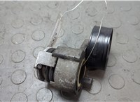  Натяжитель приводного ремня Renault Kangoo 2008-2013 20660710 #1