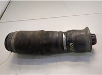 Пневмоподушка Mercedes GL X164 2006-2012 20660988 #1