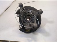 Ступица (кулак, цапфа) Nissan 350Z 2002-2009 20661495 #1
