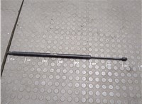  Амортизатор крышки багажника Chrysler Voyager 2019-2025 20661782 #1