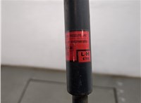 Амортизатор капота Lexus RX 1998-2003 20661798 #2