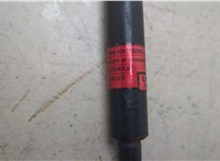5345049045 Амортизатор капота Lexus RX 1998-2003 20661798 #4