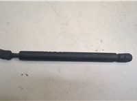  Амортизатор капота Infiniti FX 2002-2009 20662019 #1