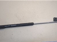  Амортизатор крышки багажника Infiniti FX 2002-2009 20662028 #1