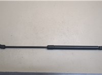 6894001011 Амортизатор крышки багажника Pontiac Vibe 1 2002-2008 20662188 #1