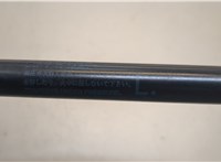 6894001011 Амортизатор крышки багажника Pontiac Vibe 1 2002-2008 20662188 #3