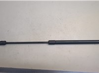 6893001011 Амортизатор крышки багажника Pontiac Vibe 1 2002-2008 20662189 #1
