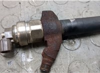 1378432 Форсунка топливная Ford Transit 2006-2014 20662295 #2
